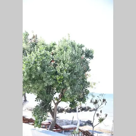 Family 4 Apartman Léheo