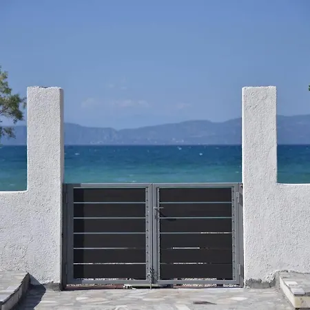 Family 4