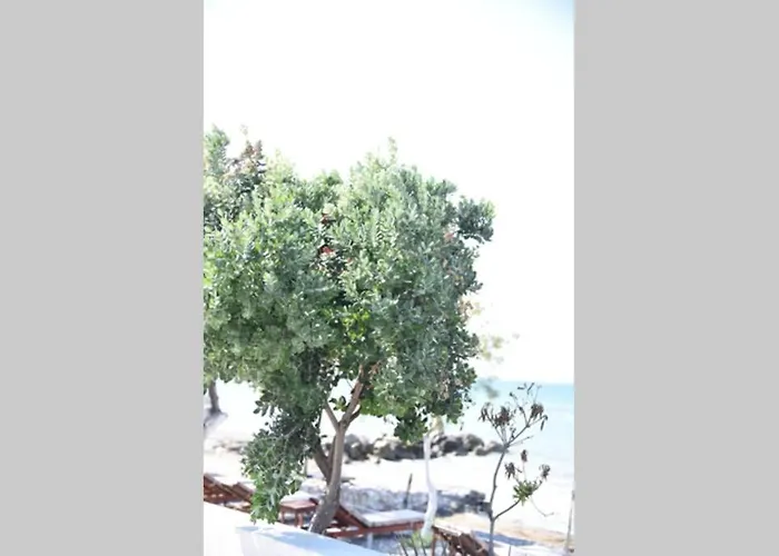 Family 4 Διαμέρισμα Λέχαιο