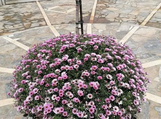 Διαμέρισμα Family 4